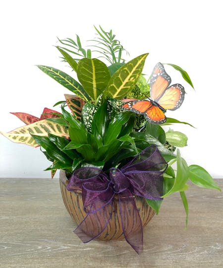 Get Well Flowers