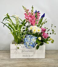 Farmer's Market