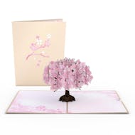 Lovepop Cherry Blossom
