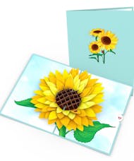 Lovepop Sunflower Bloom