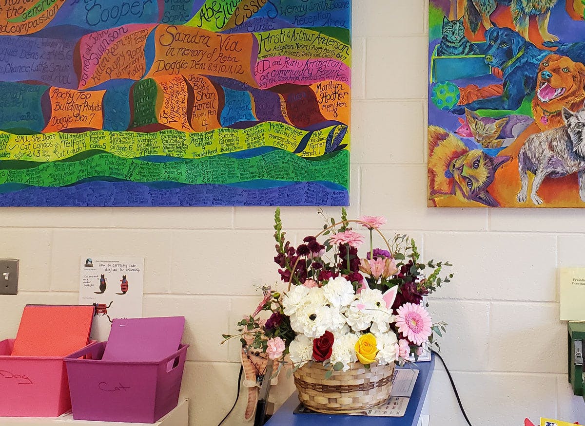 A bouquet and check for $1,000 in the reception area of the Franklin Humane Society