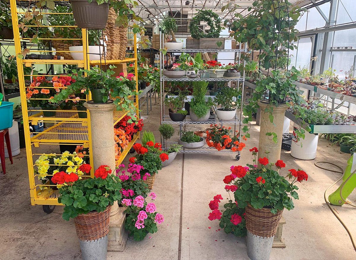 Flowers Hours & Address Roanoke, VA