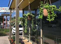A view of our exterior, with fresh potted plants hung from the ceiling